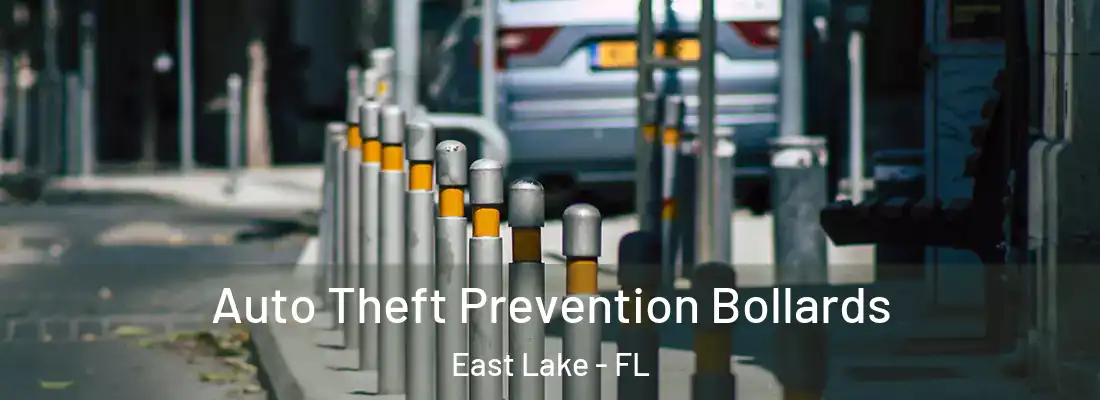 Auto Theft Prevention Bollards East Lake - FL
