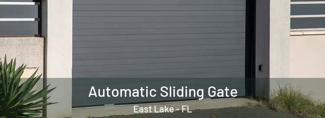 Automatic Sliding Gate East Lake - FL
