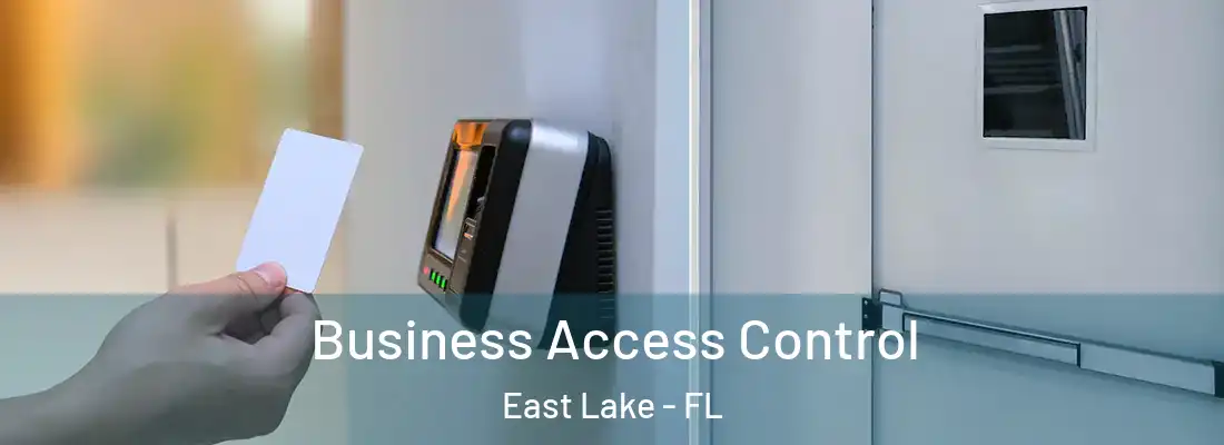 Business Access Control East Lake - FL