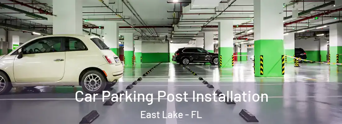 Car Parking Post Installation East Lake - FL
