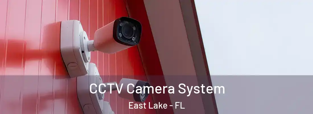 CCTV Camera System East Lake - FL