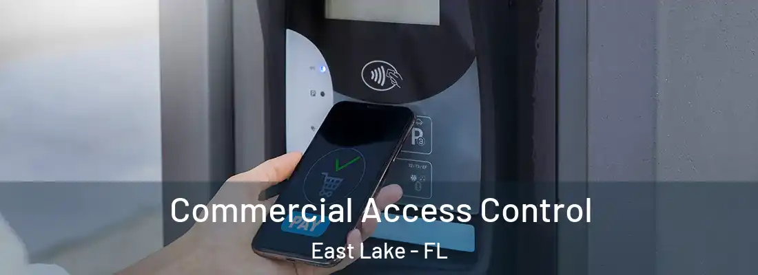 Commercial Access Control East Lake - FL