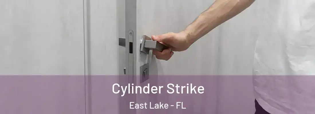 Cylinder Strike East Lake - FL