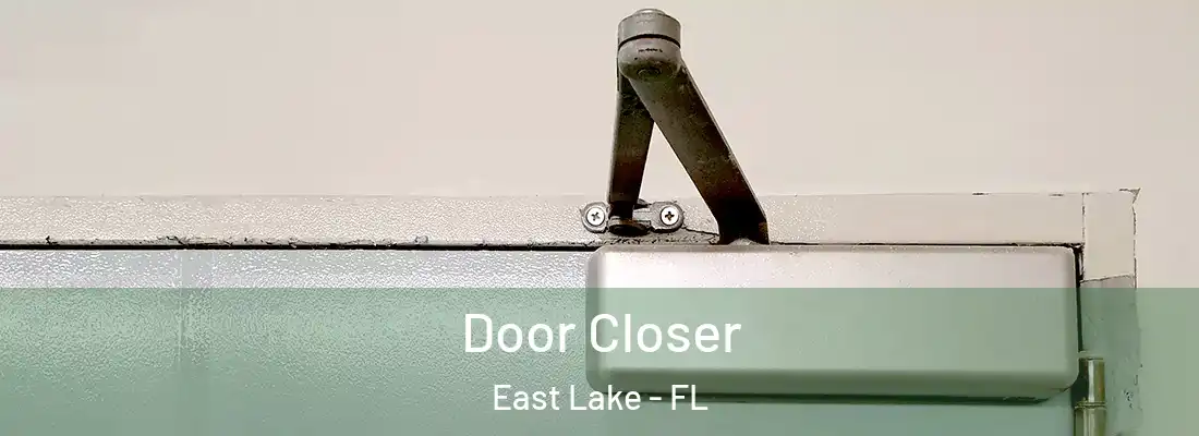 Door Closer East Lake - FL
