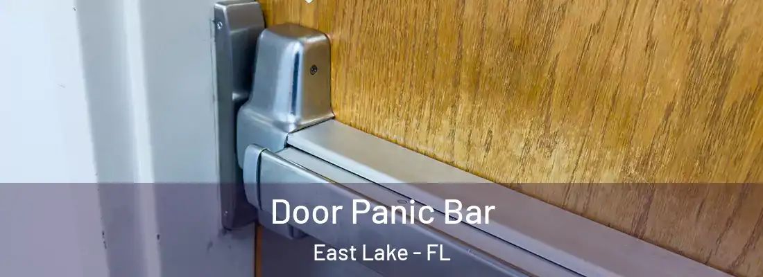 Door Panic Bar East Lake - FL