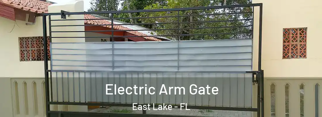 Electric Arm Gate East Lake - FL