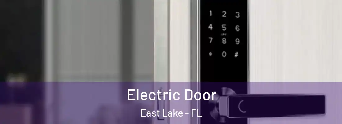 Electric Door East Lake - FL