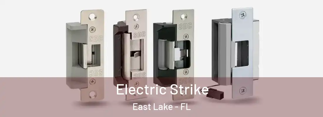 Electric Strike East Lake - FL