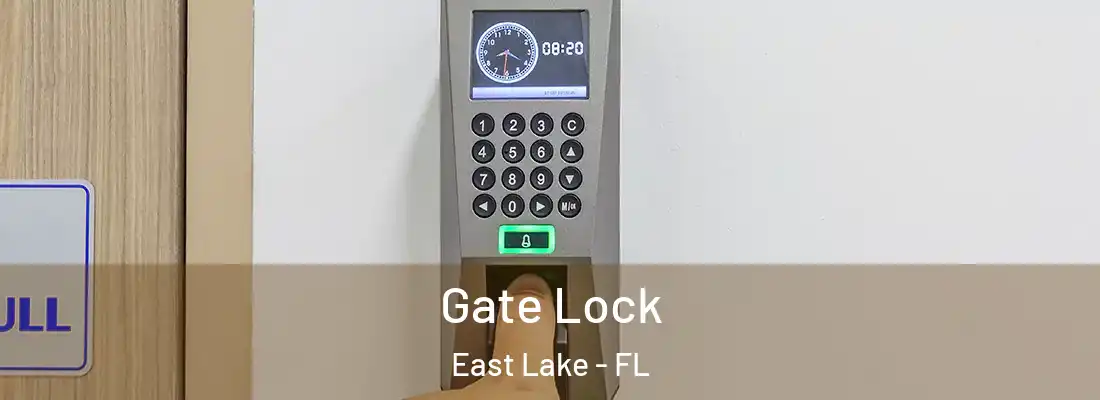 Gate Lock East Lake - FL