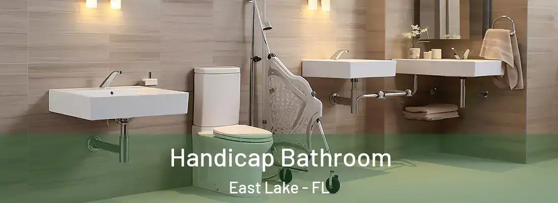Handicap Bathroom East Lake - FL