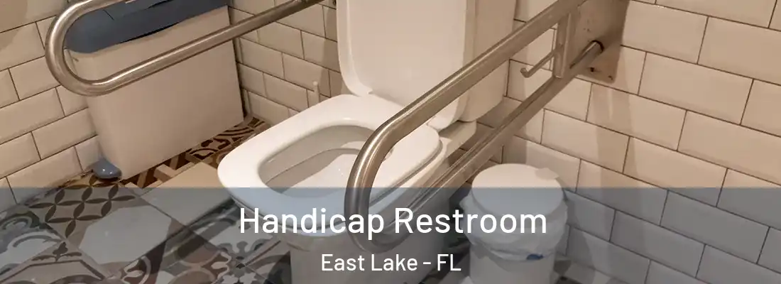 Handicap Restroom East Lake - FL