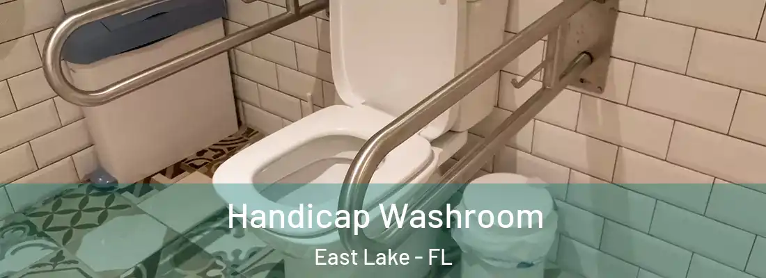 Handicap Washroom East Lake - FL