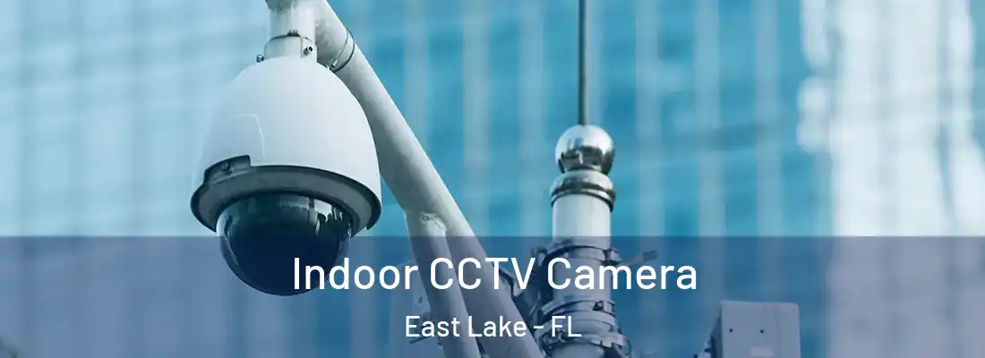 Indoor CCTV Camera East Lake - FL