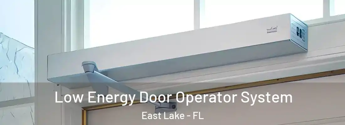 Low Energy Door Operator System East Lake - FL