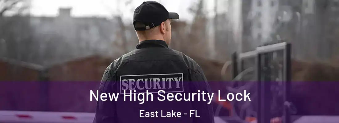 New High Security Lock East Lake - FL