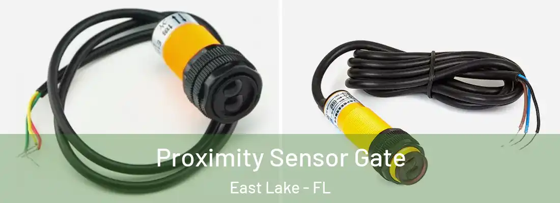 Proximity Sensor Gate East Lake - FL