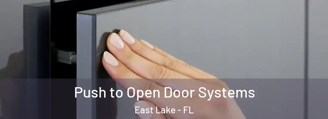 Push to Open Door Systems East Lake - FL