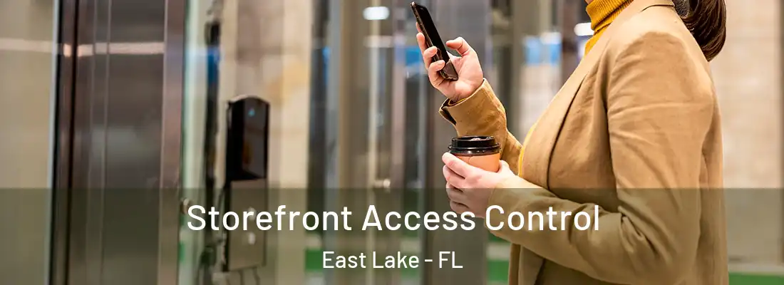 Storefront Access Control East Lake - FL